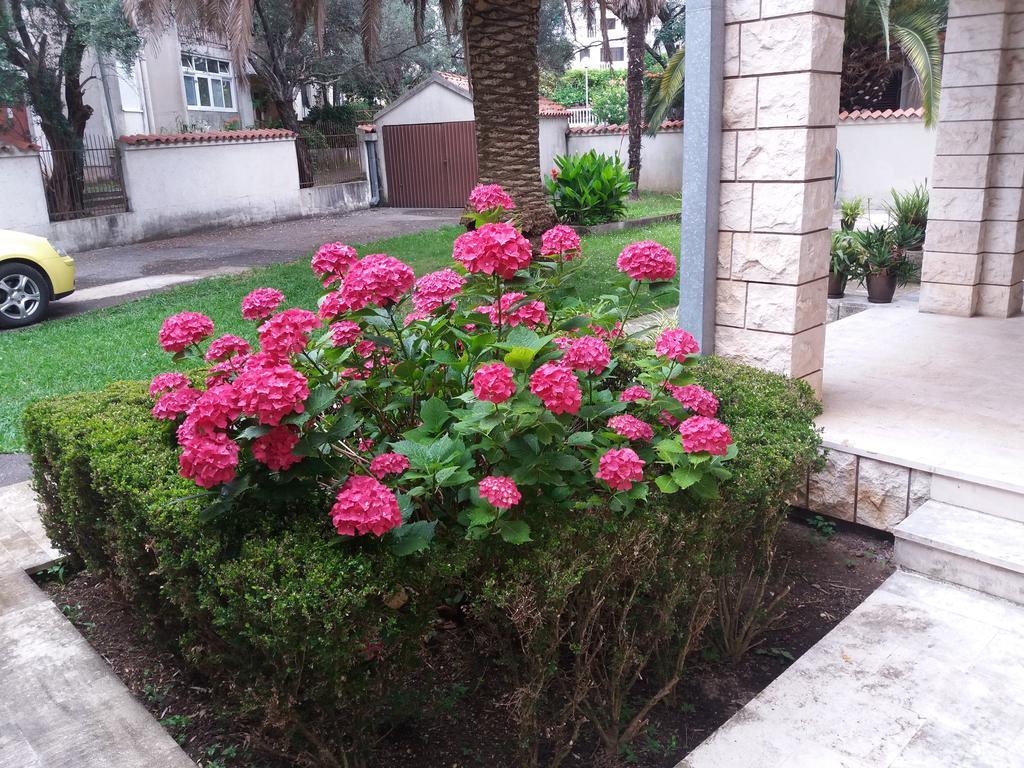 Bravo Apartmani בודווה מראה חיצוני תמונה